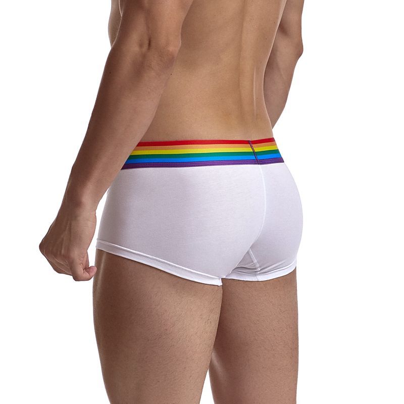 Neon Color Model Penis Underwear Soft Breathable Cotton Briefs